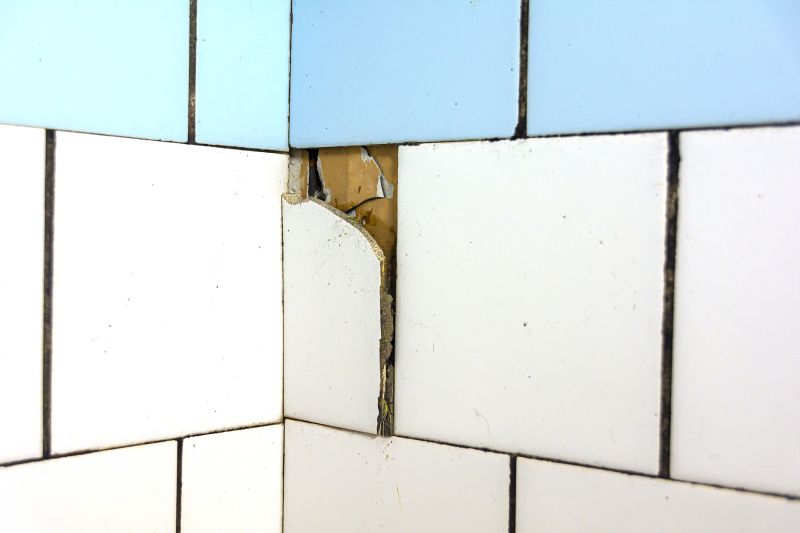 Tile Repair Service